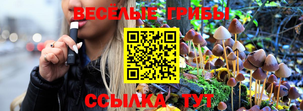 Псилоцибиновые грибы мицелий Юрга